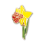 DaffodilBadgesother