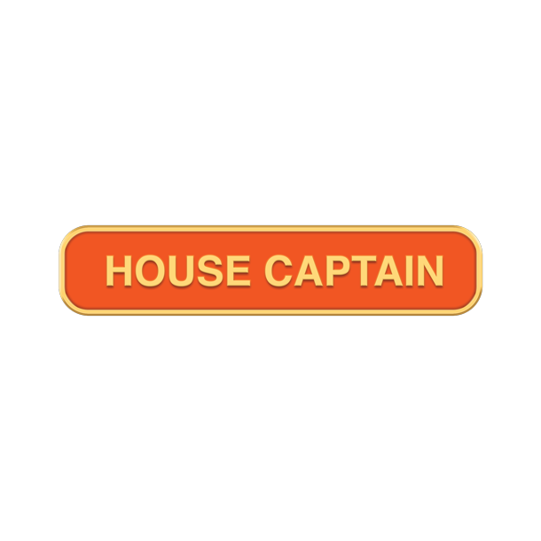House CaptainBadgesLozenges