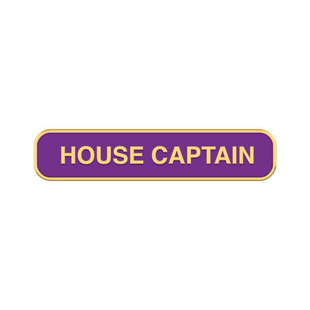 House CaptainBadgesLozenges 
