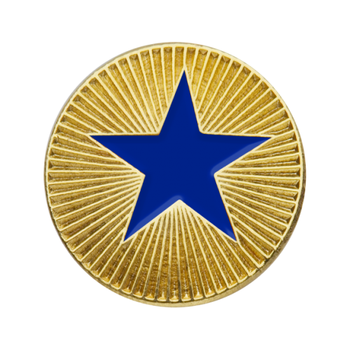 Star ColourBadgesSchools