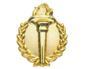 TorchBadgesSchools